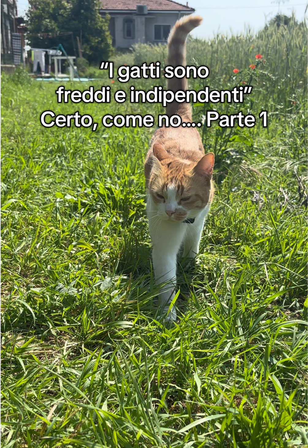 @Family_pelosa🐱🐰🐶🐮