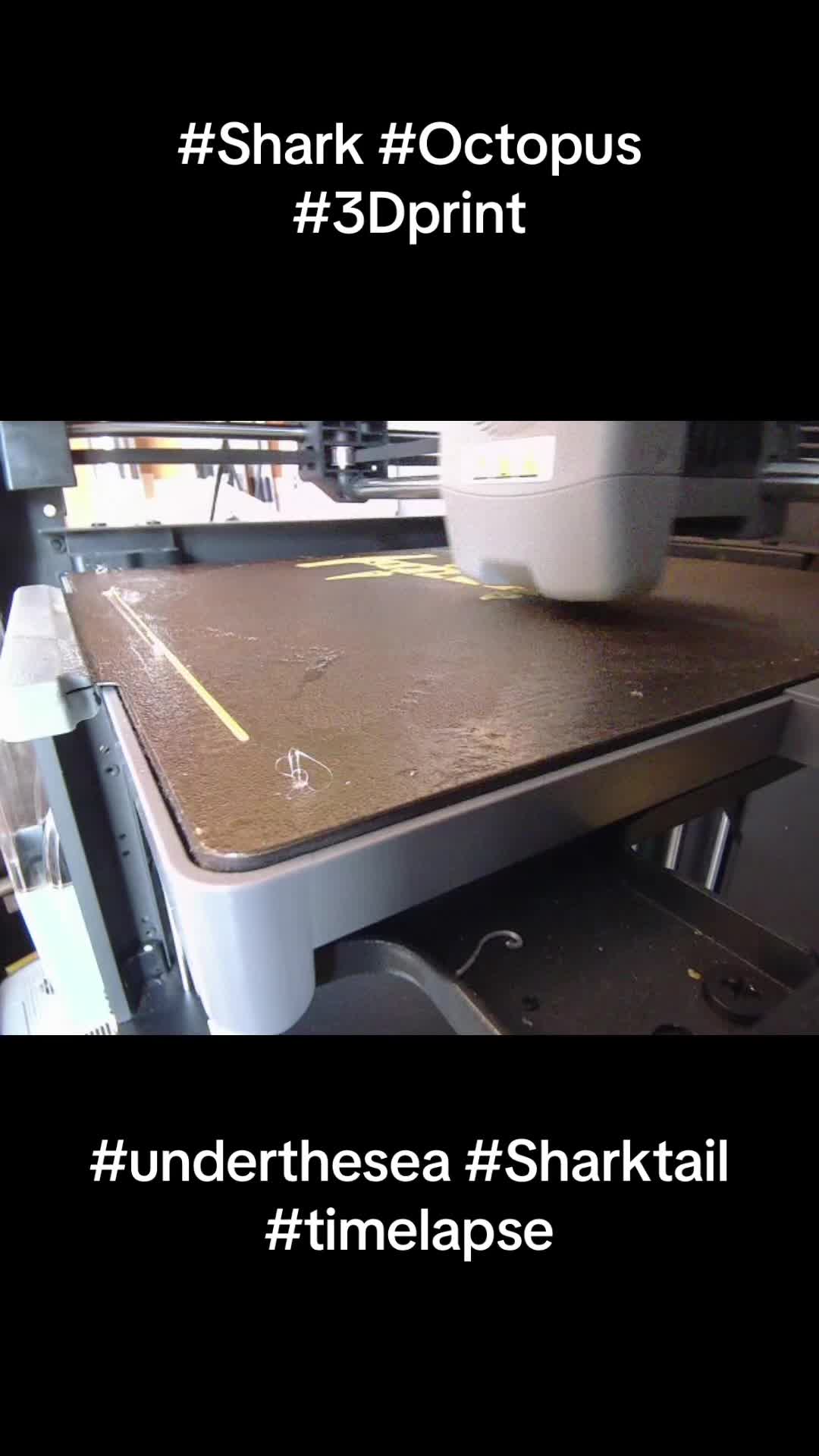 @3DPrinter