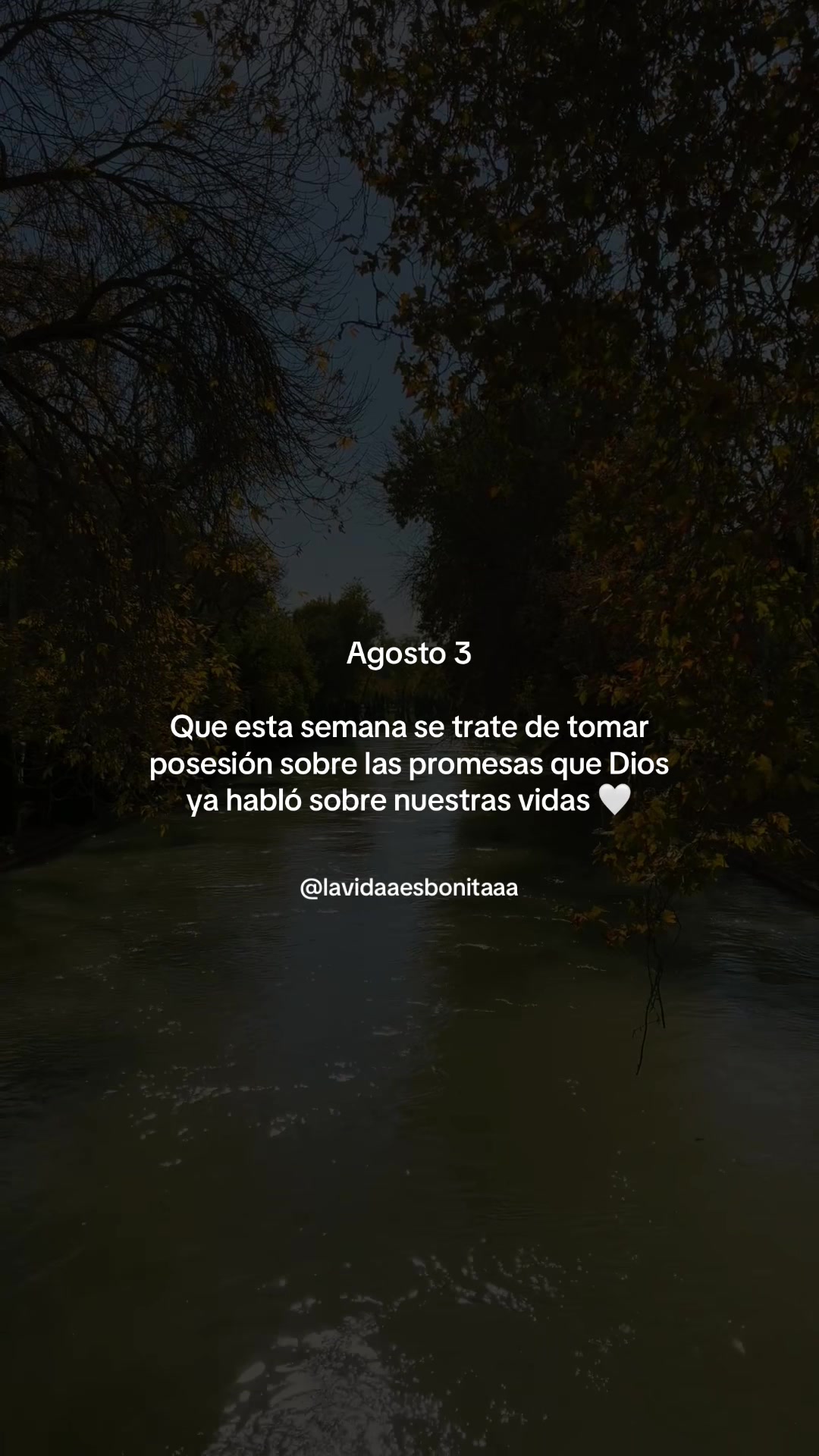@vidabonita❤️🩹