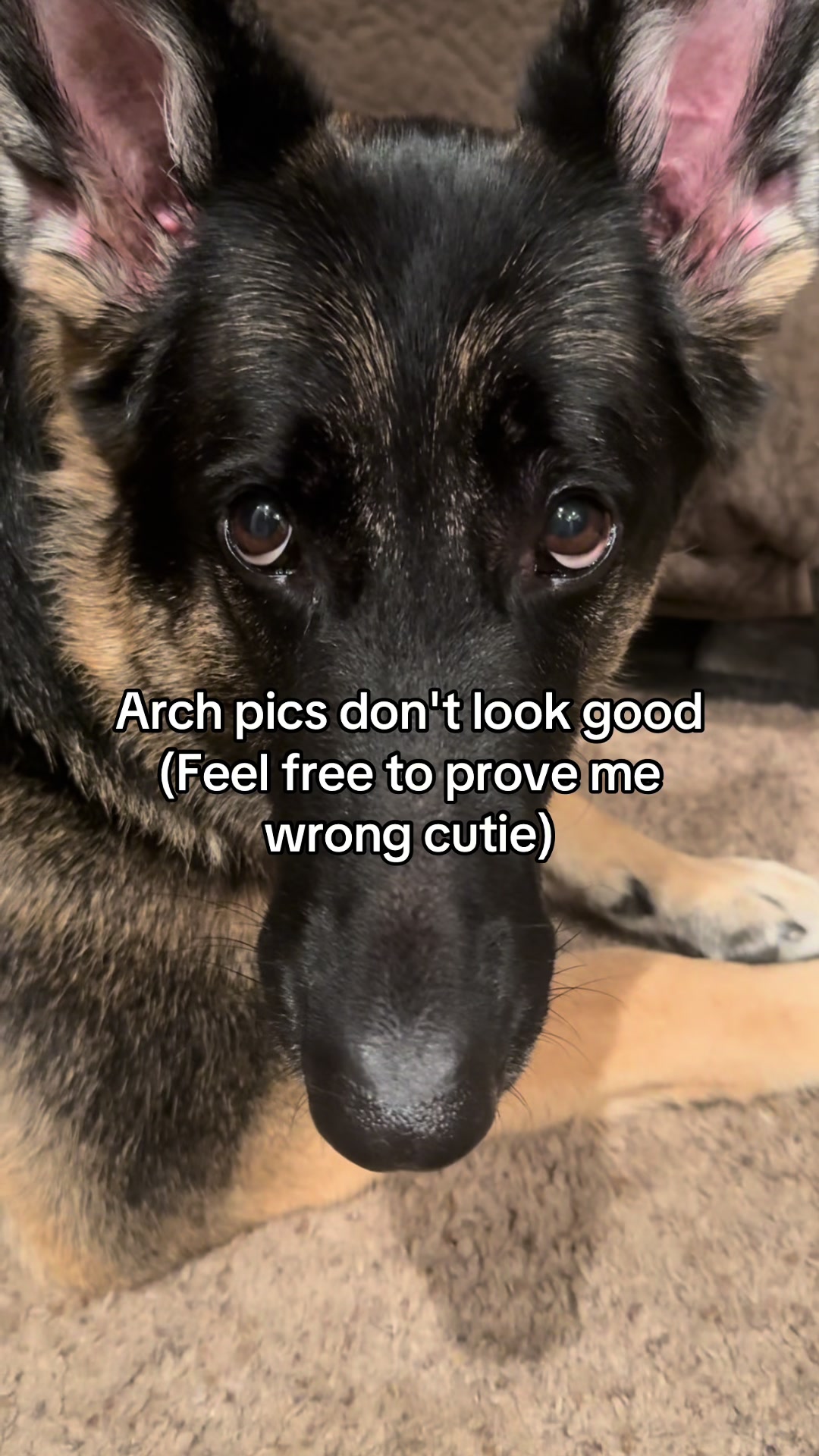 @Bhris