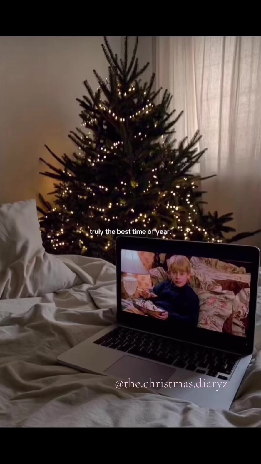 @C H R I S T M A S 🎄