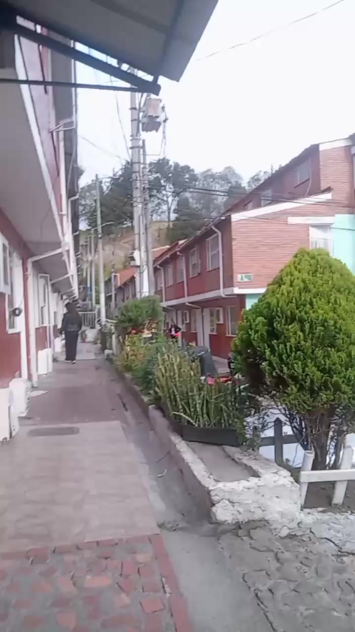 @Quintero yorley