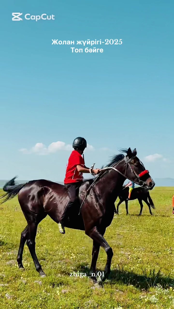 @Alimbekov Zhiger Nussipkhanuly