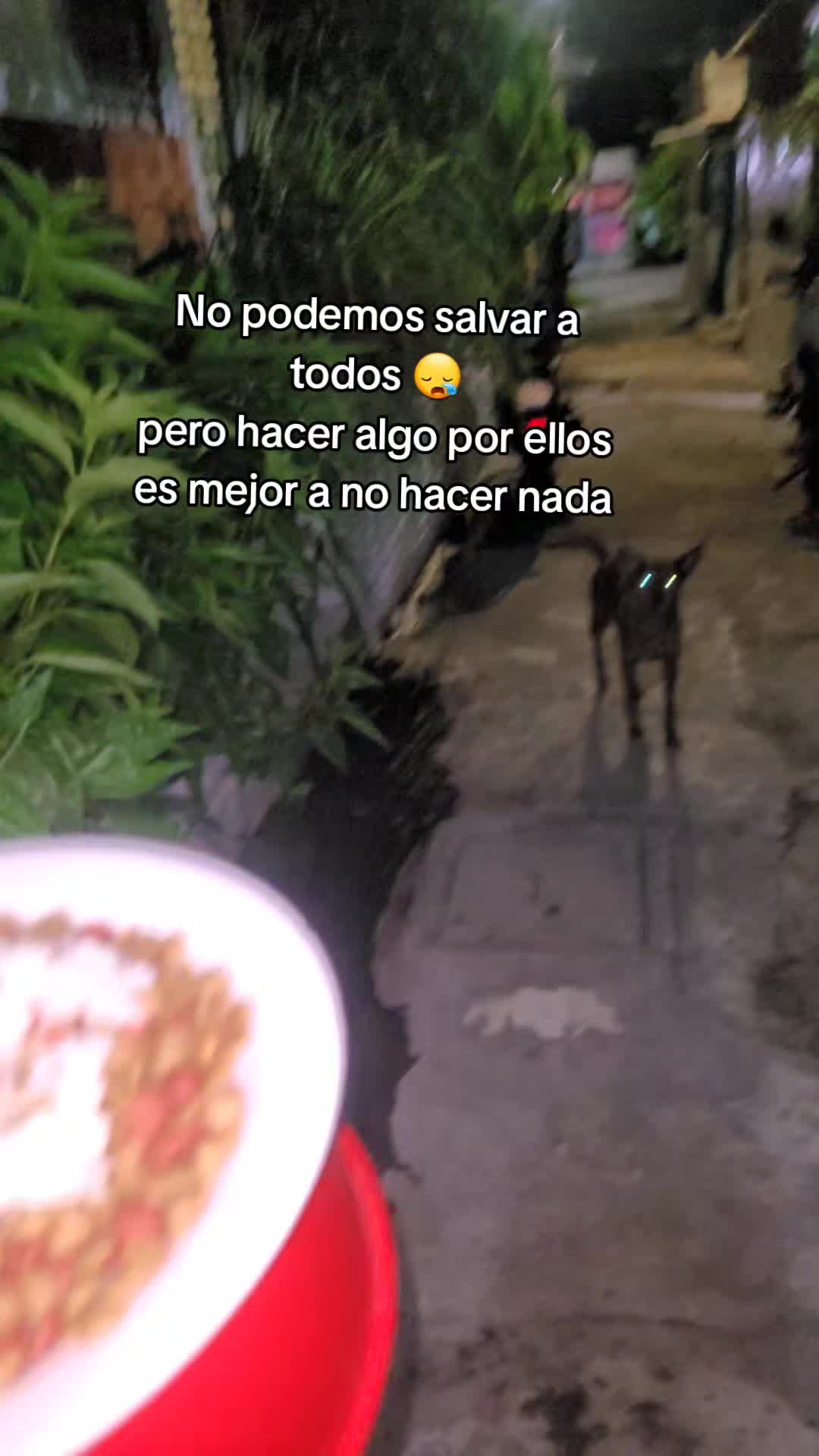 @𝕃𝕚𝕤𝕤 ℝ𝕖yes🇸🇻