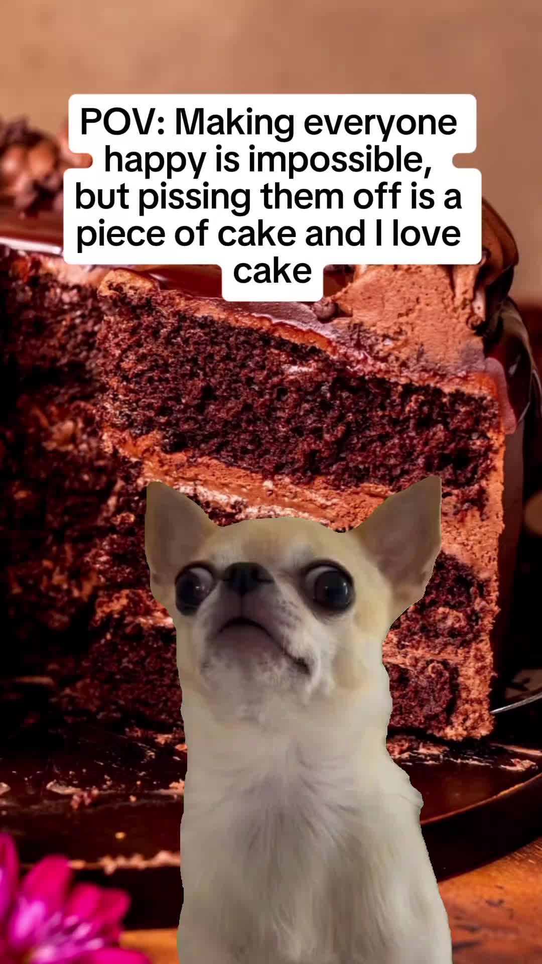 @Yaneli