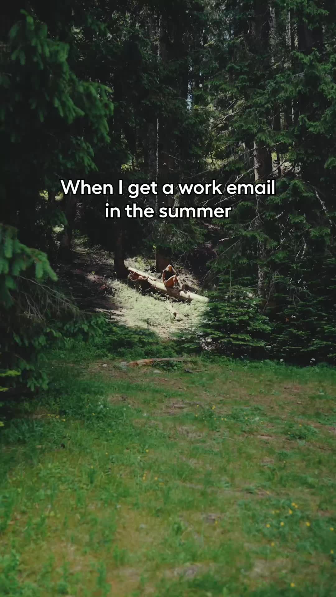 @Polarsteps