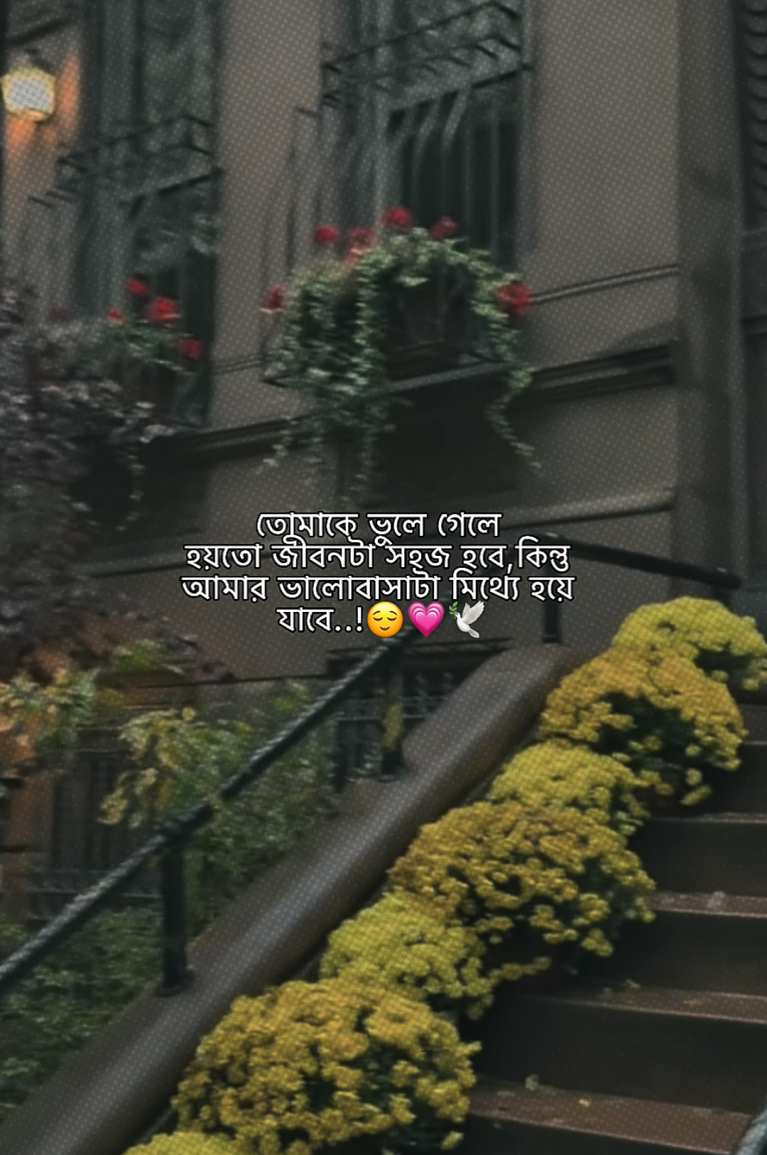 @𝗠𝗮𝘀𝗵𝗮𝗹𝗹𝗮𝗵 𝗔𝗽𝘂'♡︎🌷