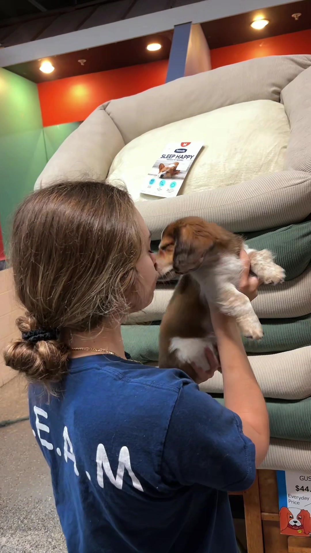 @All Pets Club