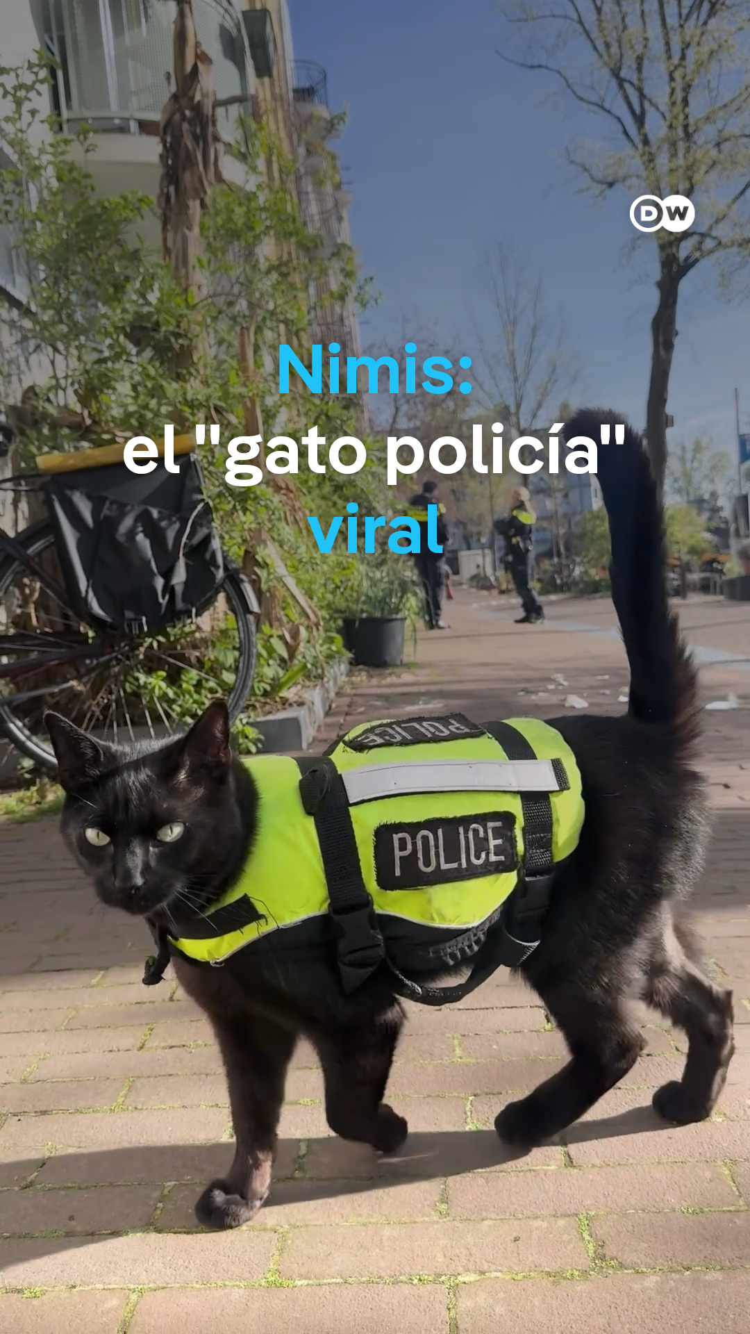 @DW Español