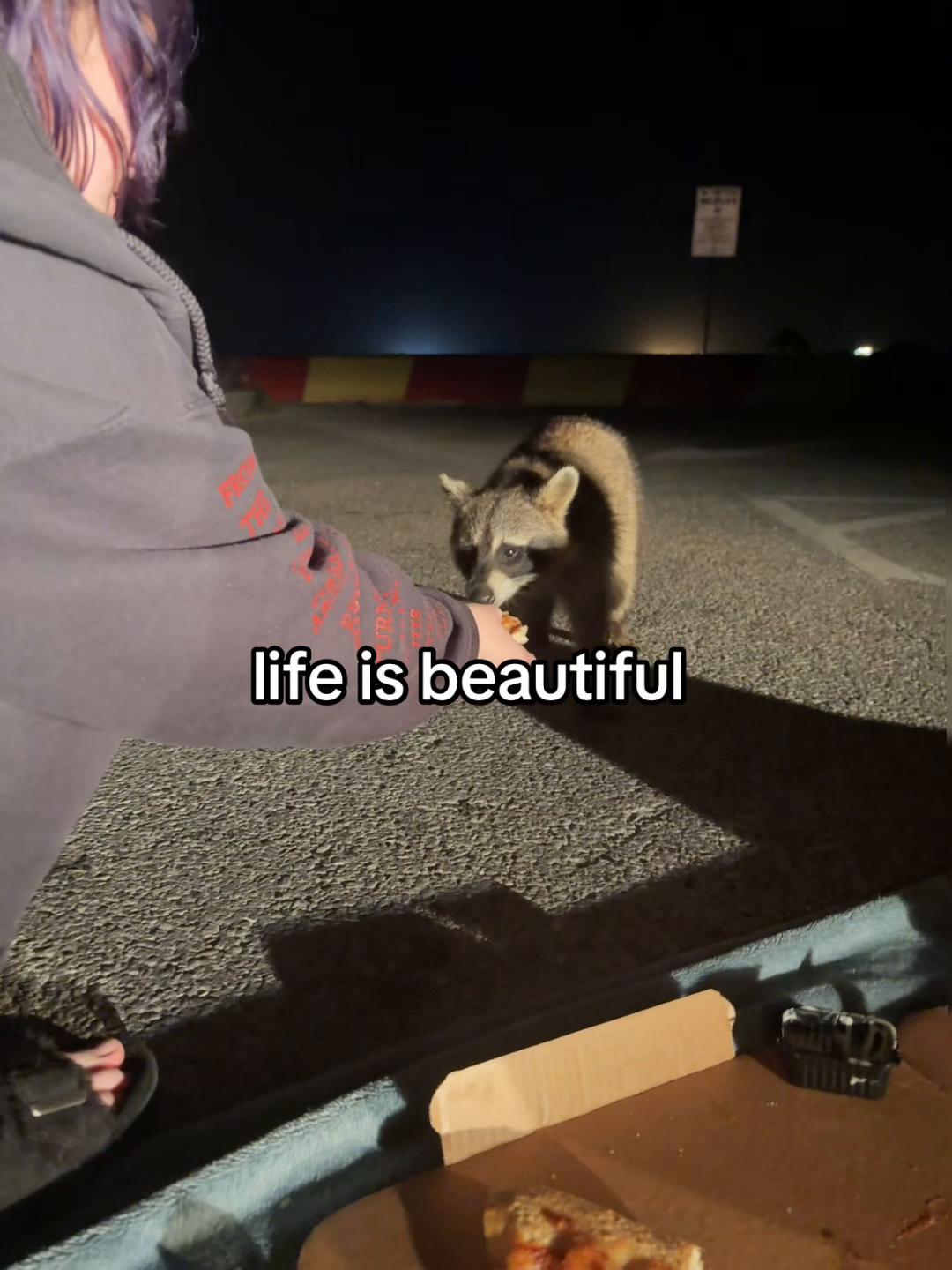 @kami