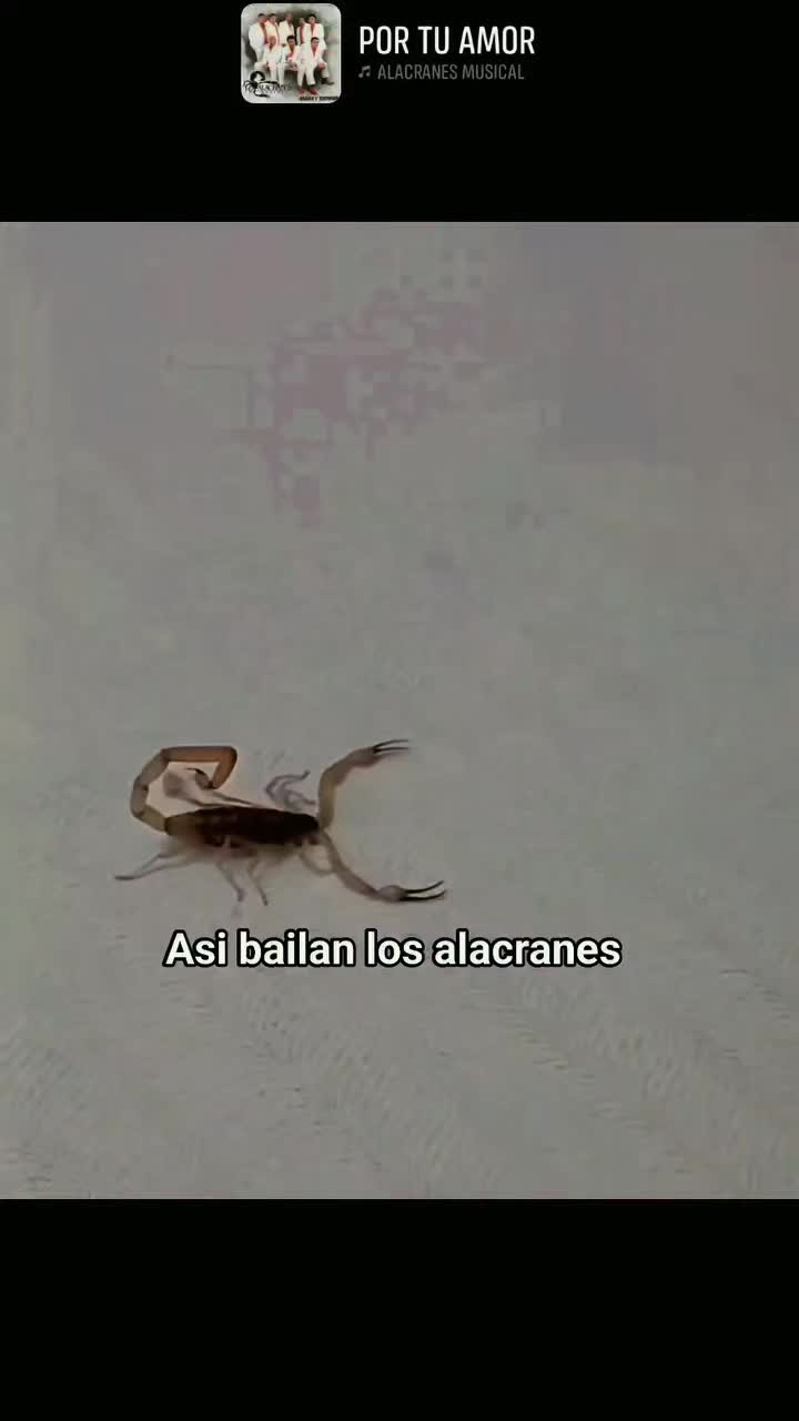 @Pedro salvador