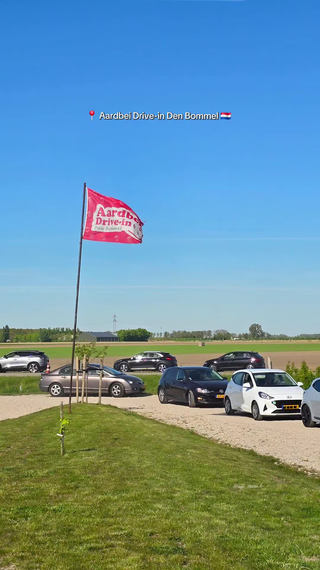 @Sylvana 🇳🇱