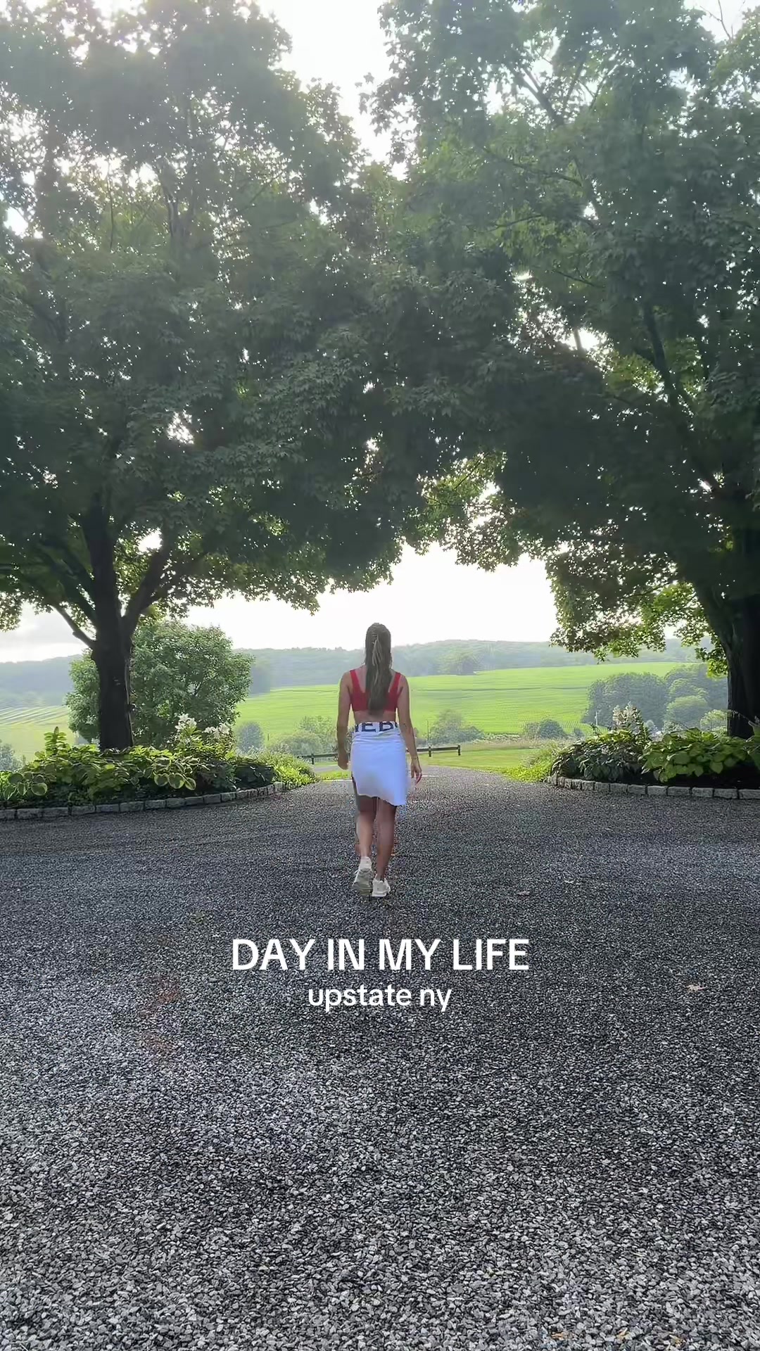 @americagnicholas