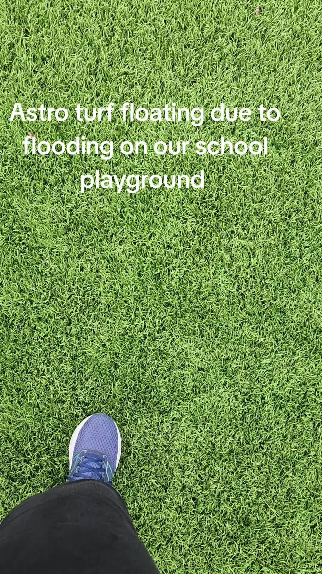 @Rochelle