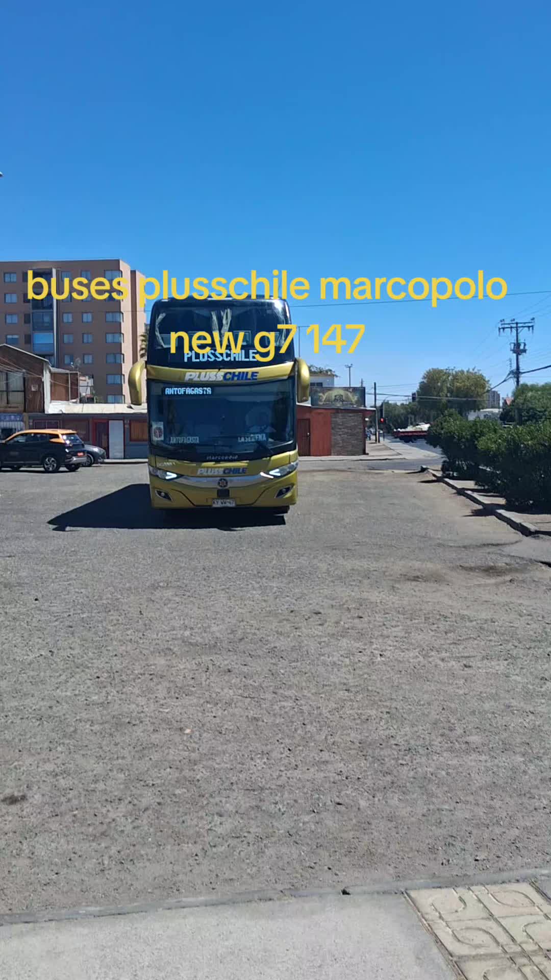 @Busolog&iacute;a renato 😎