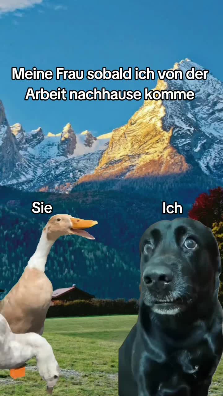 @🇩🇪🦬$.t.e.v.🦬🇩🇪