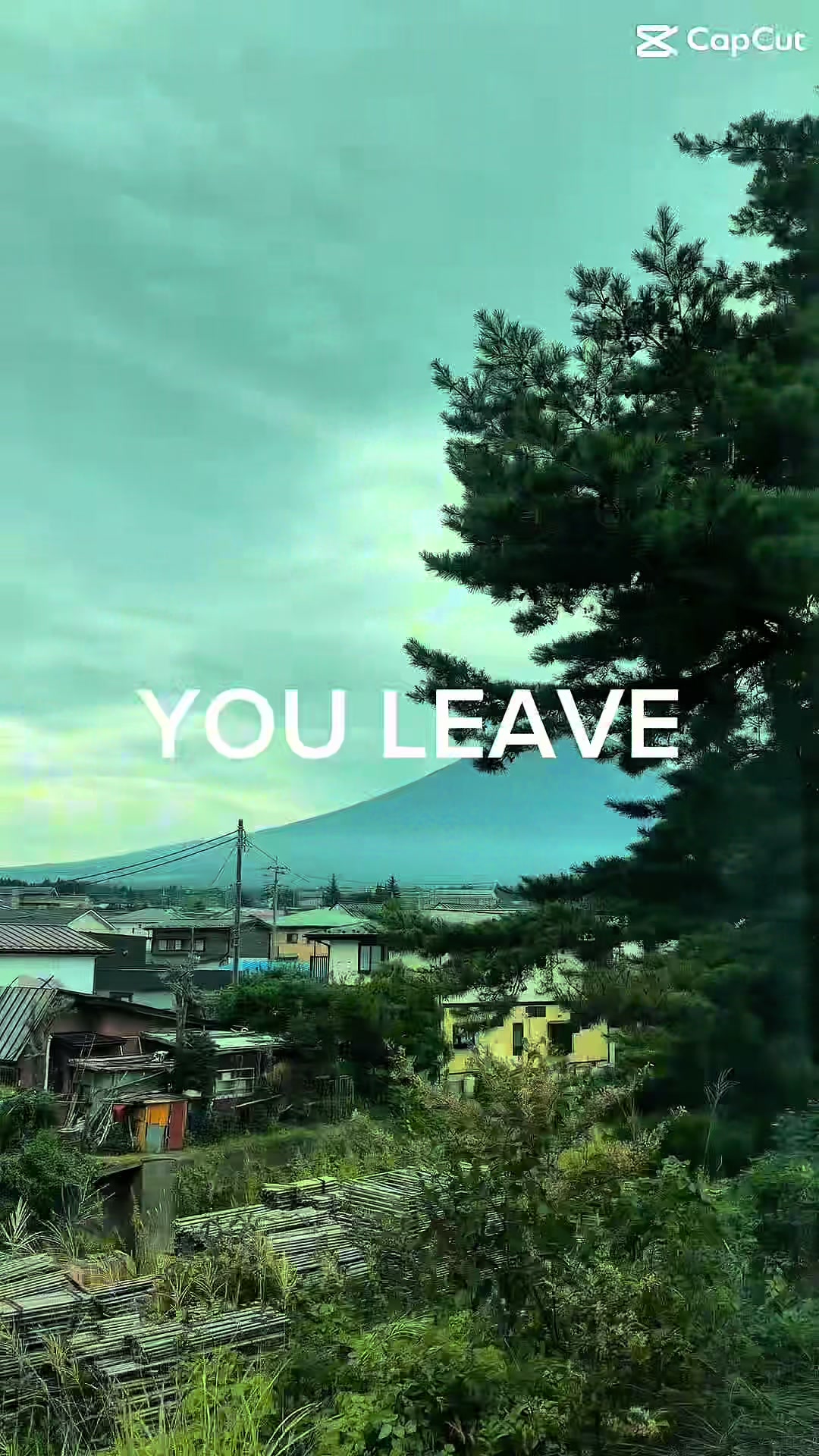 @kyo