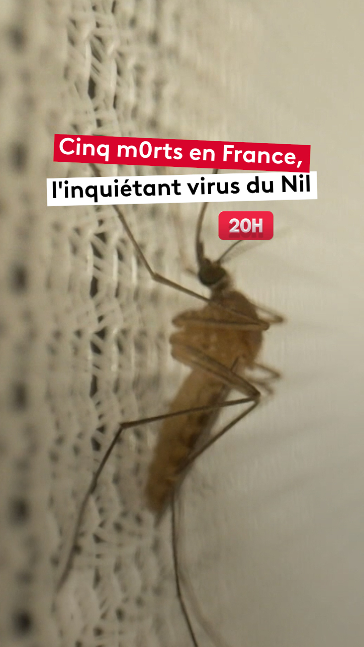 @le20hfrancetelevisions