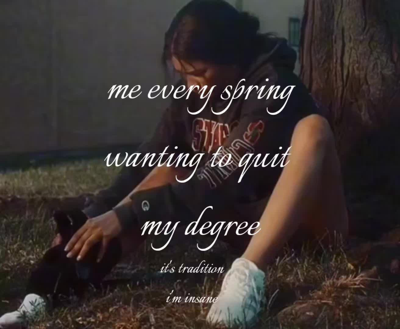 @vinrenverse