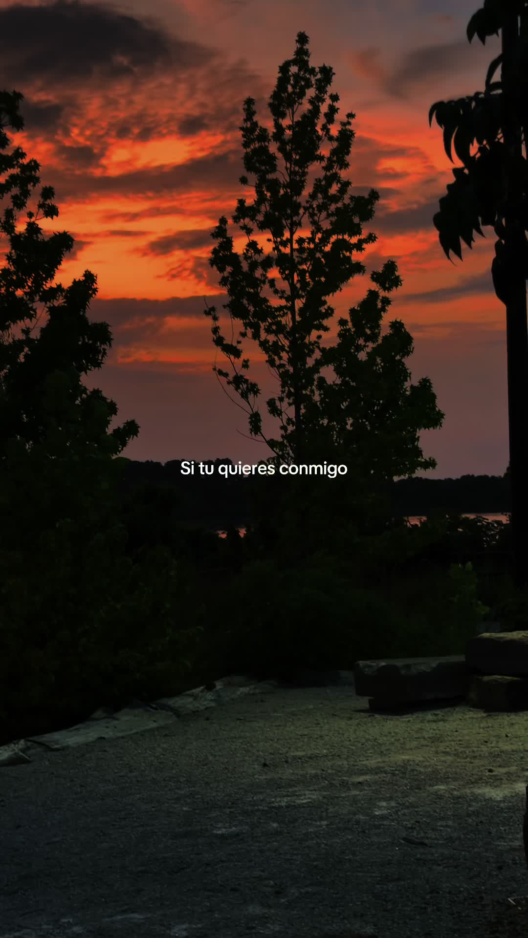 @rolitas502🇬🇹