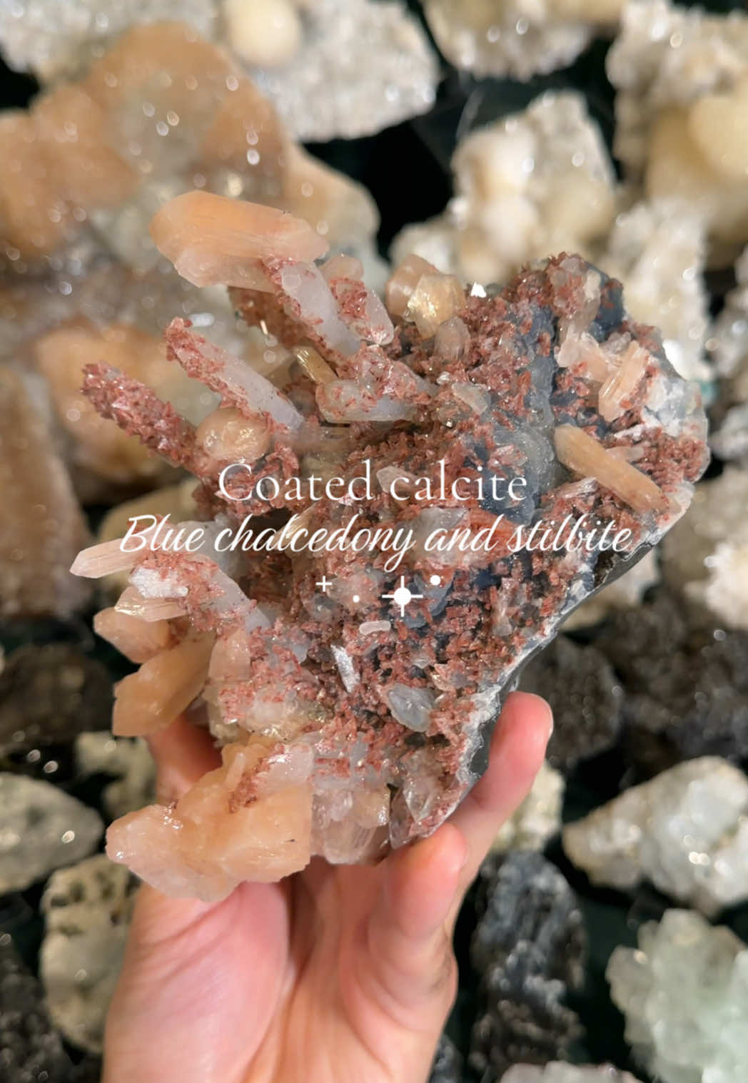 @Ettores Gems