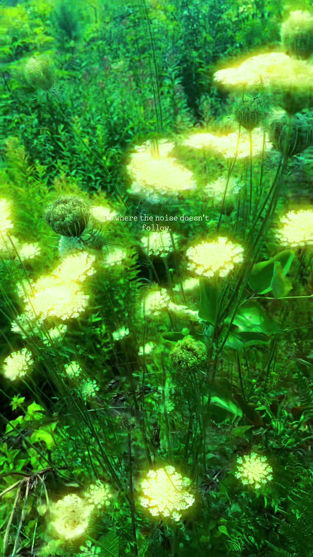 @๐ฒNature Smiles On Me๐ฒ