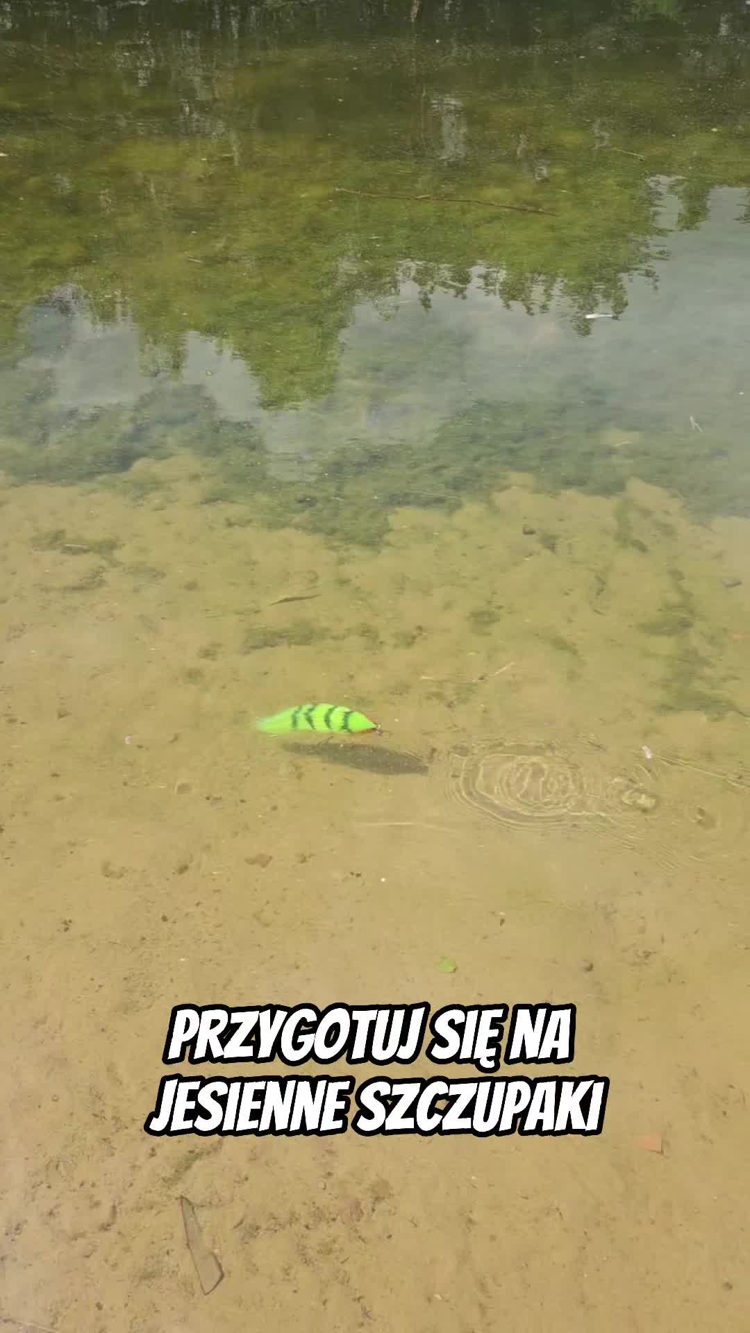@mfly_lures