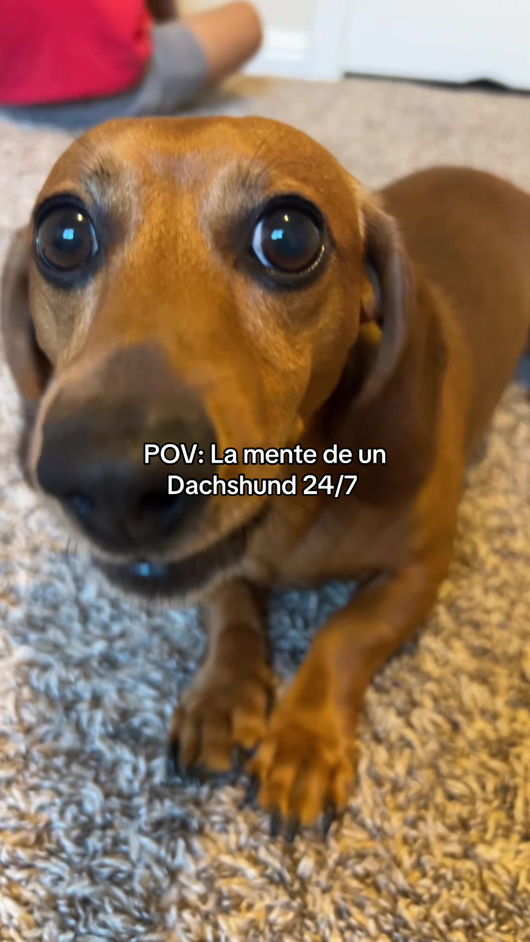 @Slinky Severus-Doo