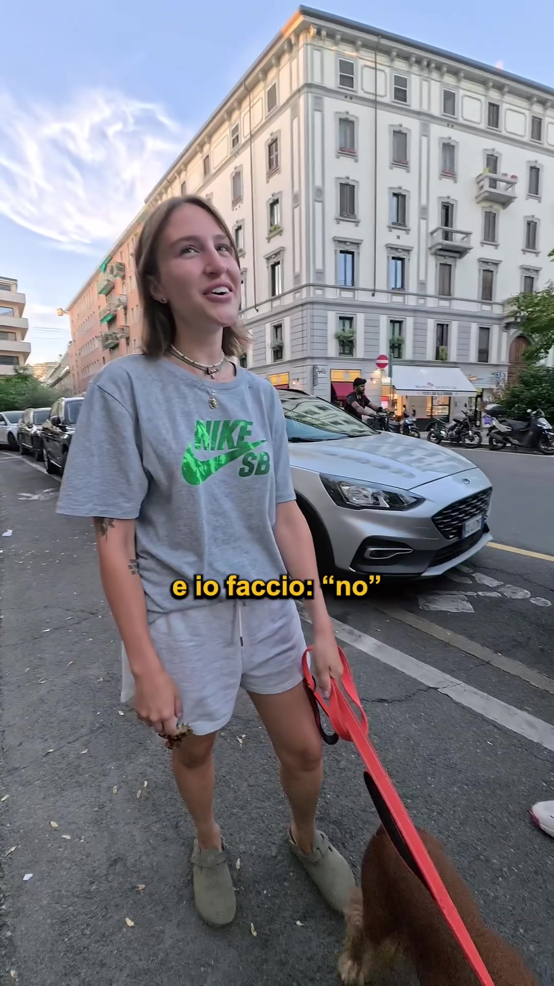 @Doggodaiily