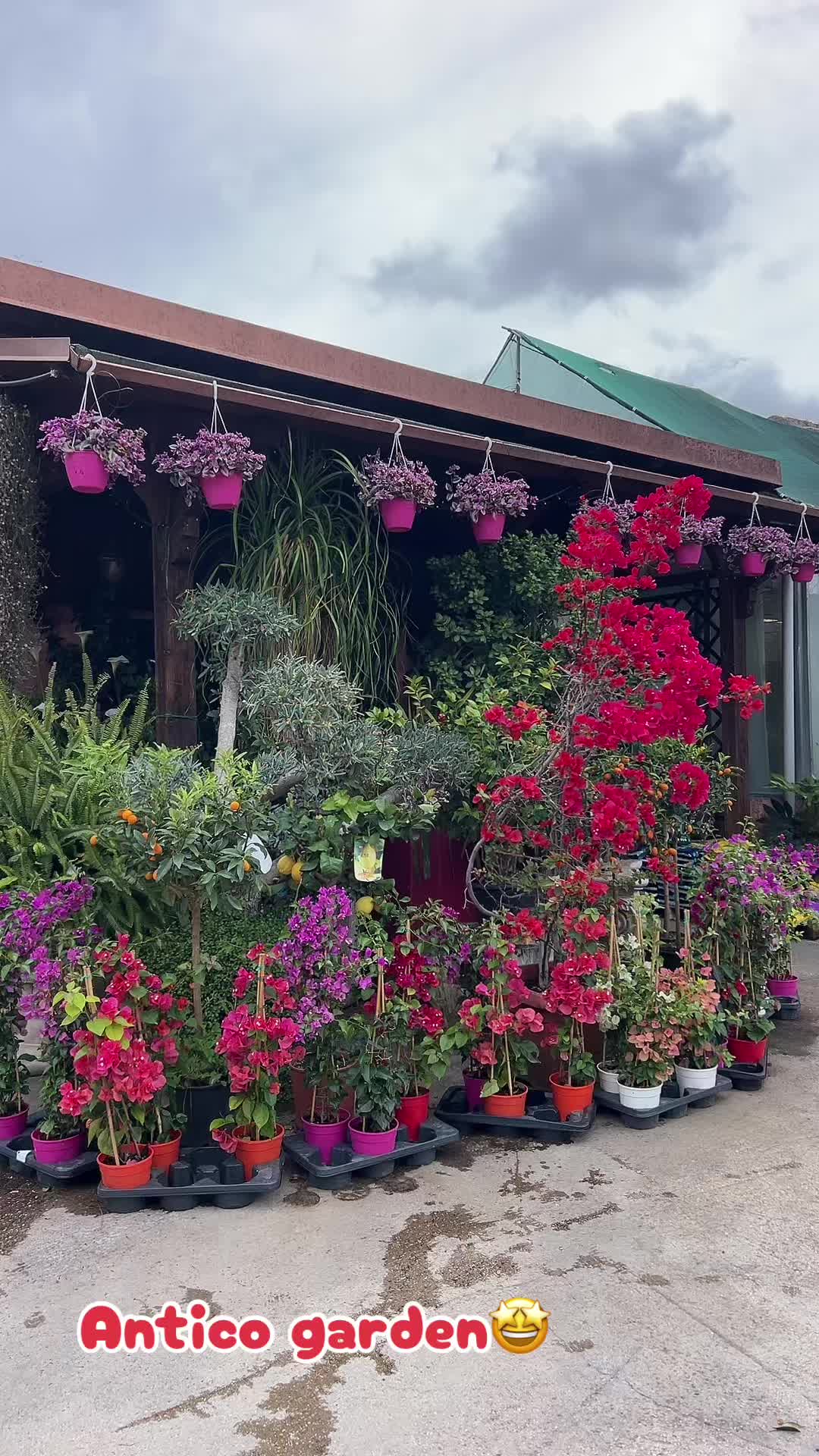 @vivaioanticogarden