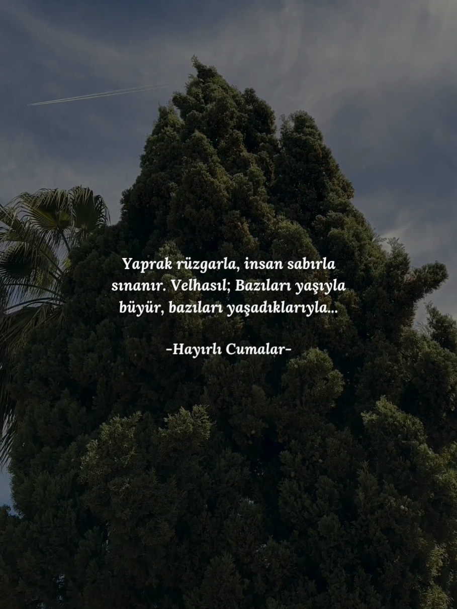 @ᴅᴜᴀ ᴅɪ̇ʏᴀʀɪᴍ