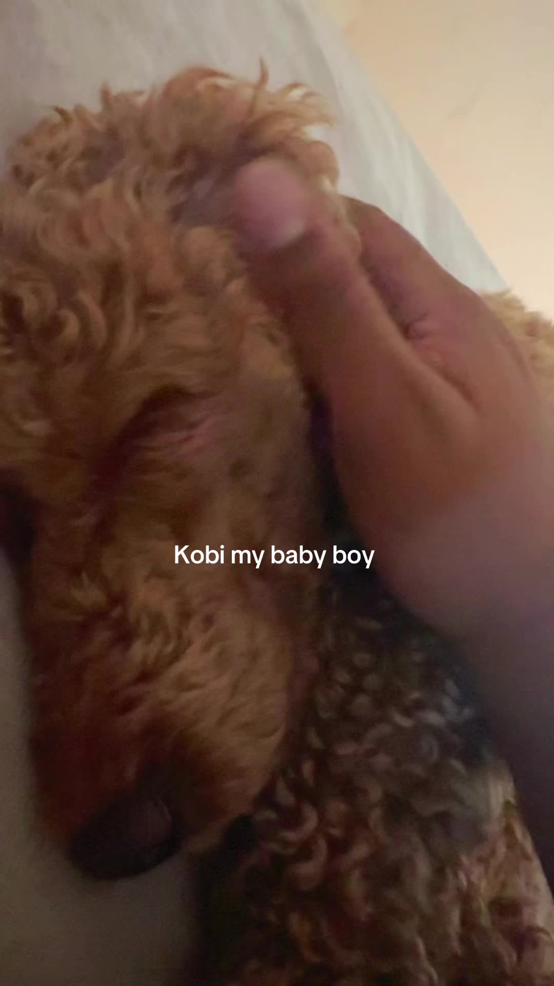 @packwalkdiaries