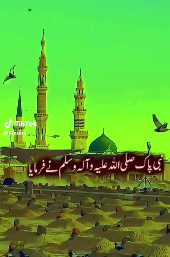 @misbah.hamid66