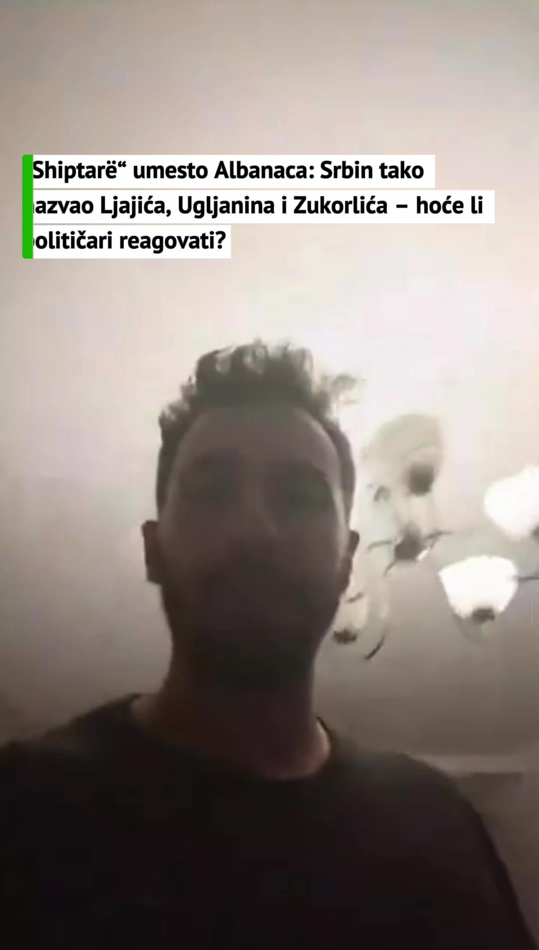 @Albanian Kuçi