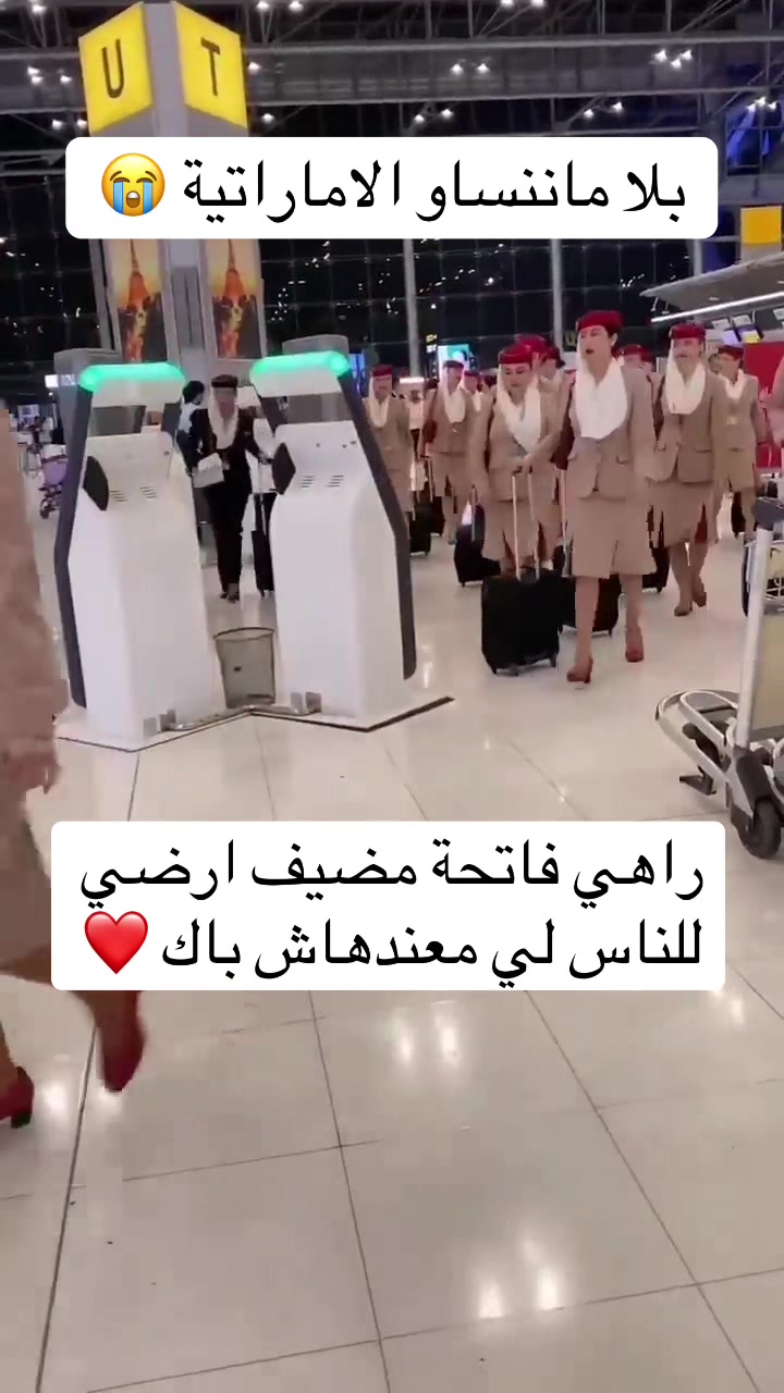 @مضيف طيران في الجزائر ✈️🇩🇿