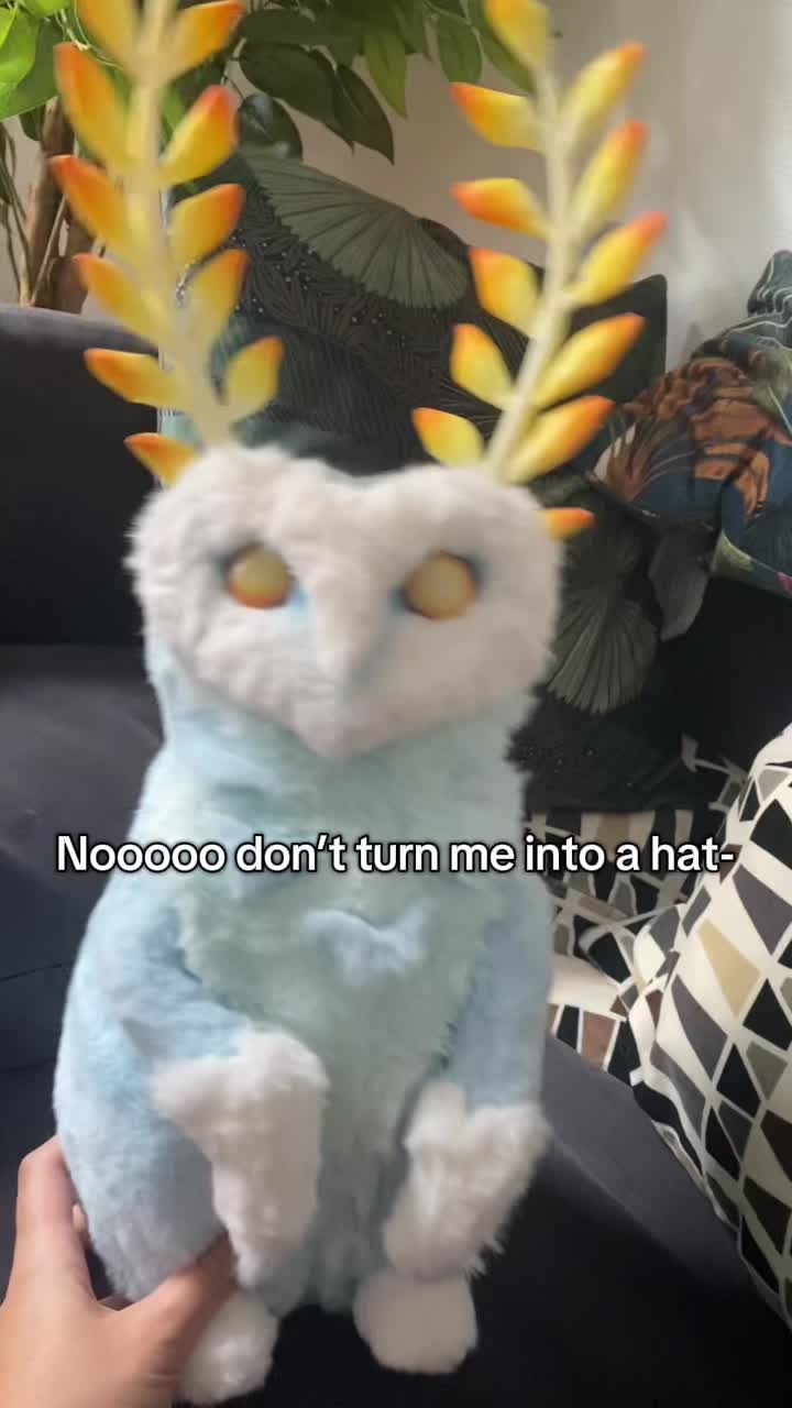 @Salt