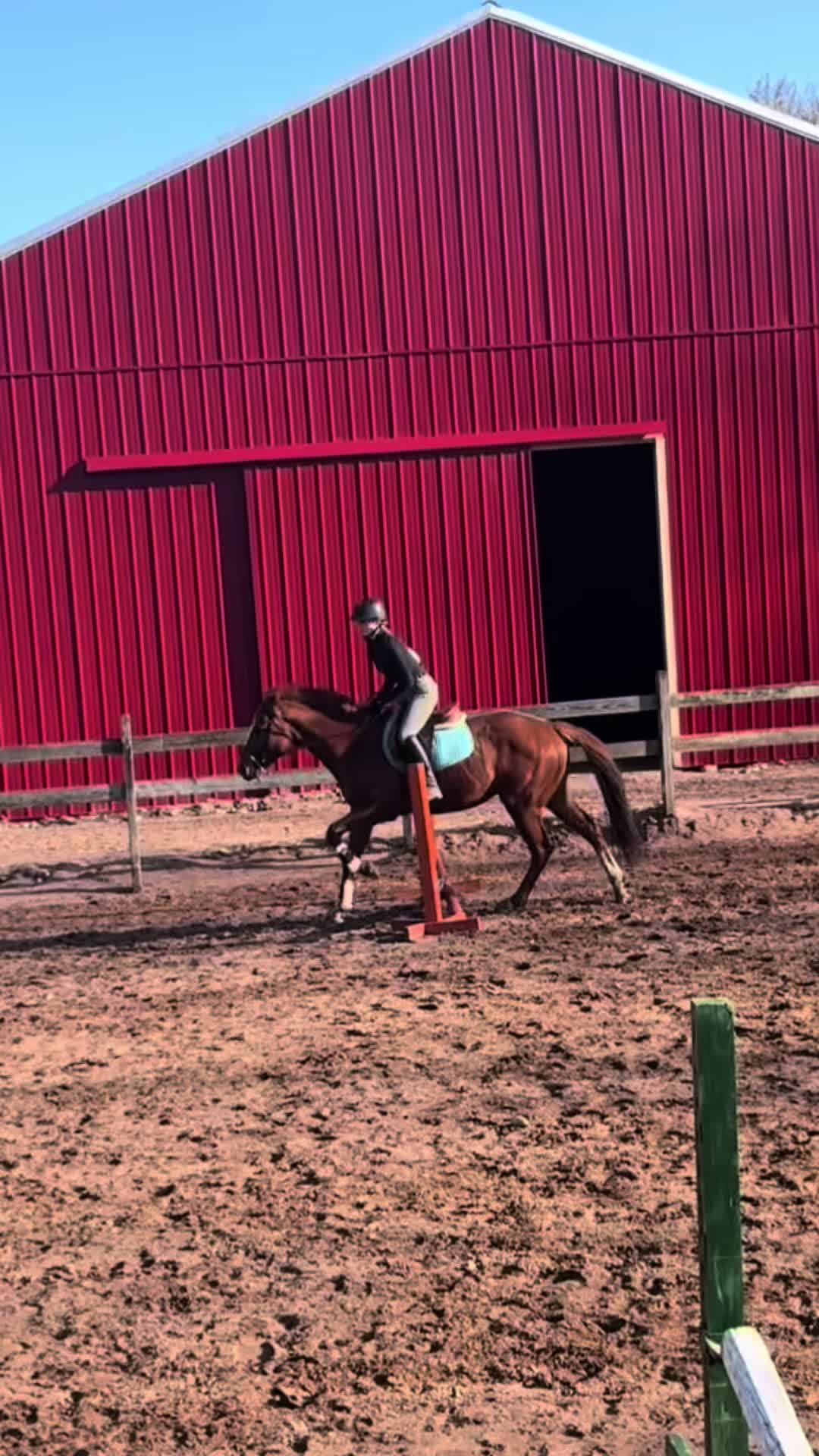 @🐎Aby 😌👌✨️
