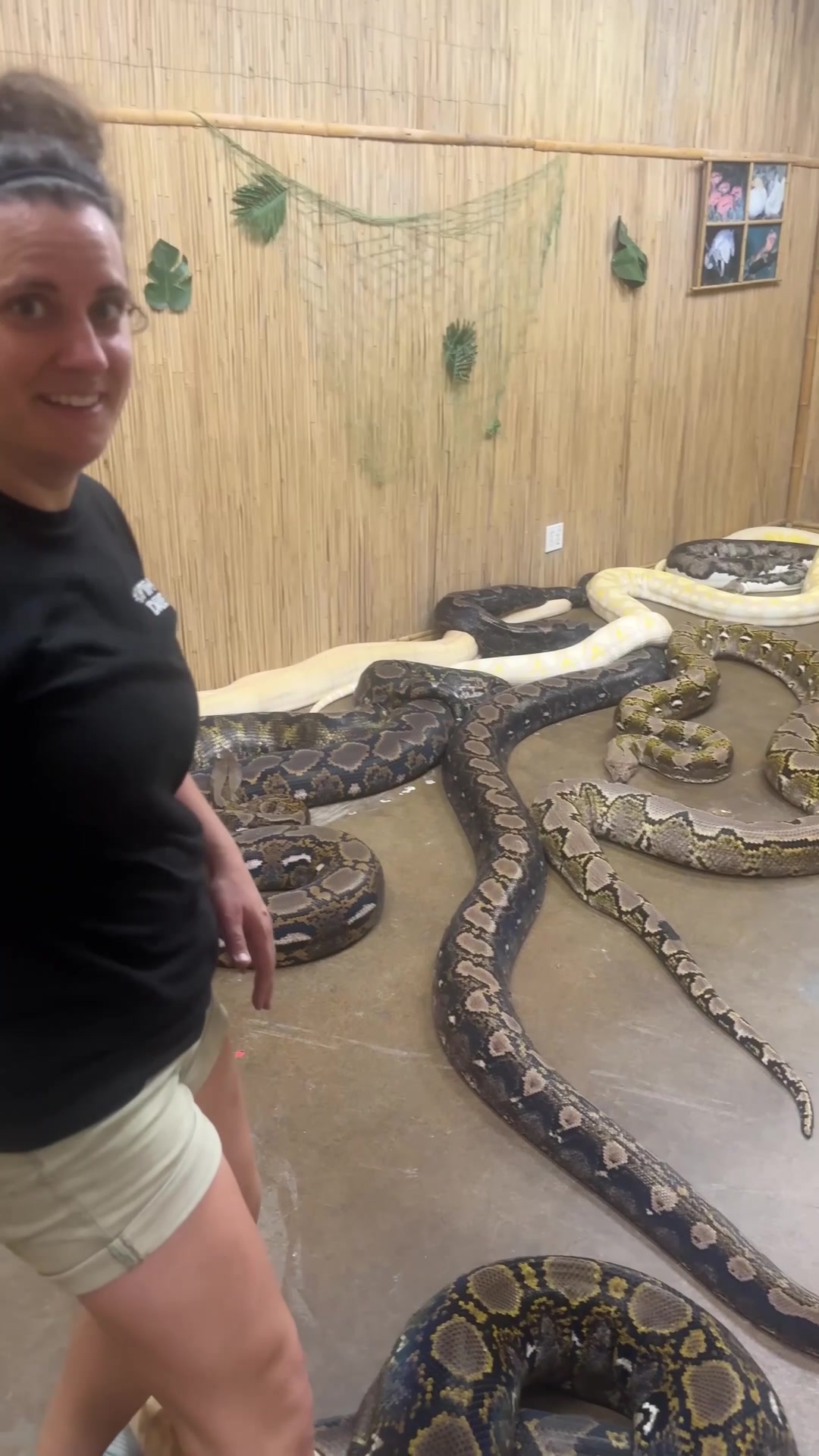 @The Reptile Zoo