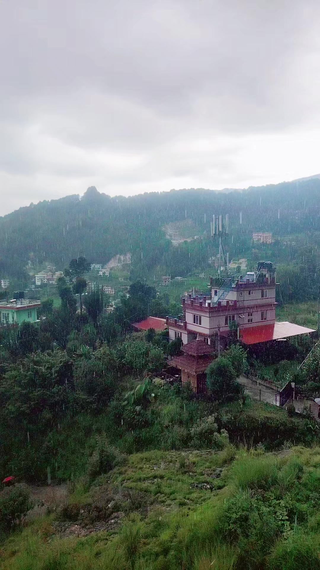 @Mr. N🇳🇵