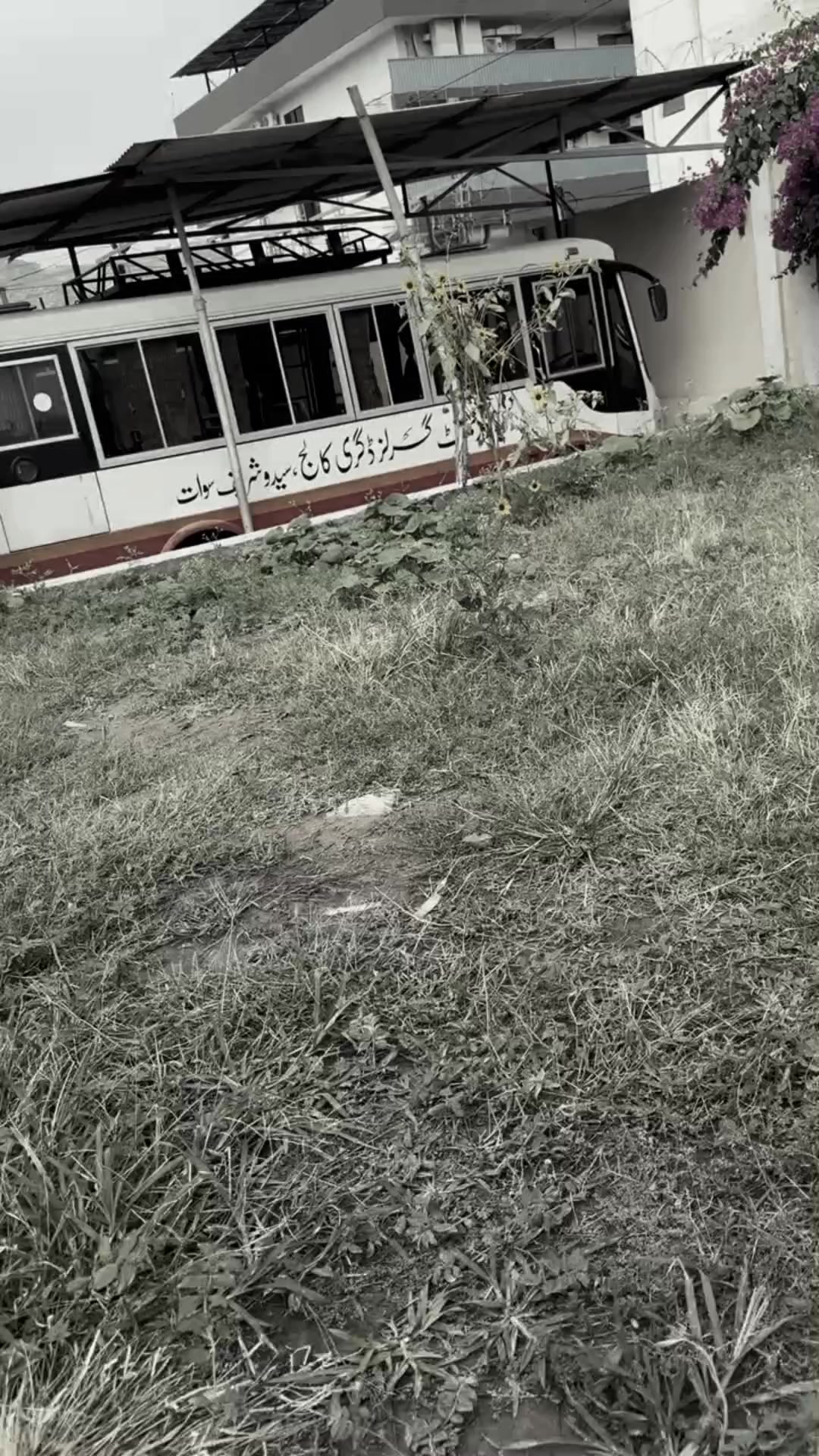 @𝑨𝒏𝒎𝒐𝒍𝑨𝒔𝒍𝒂𝒎❤