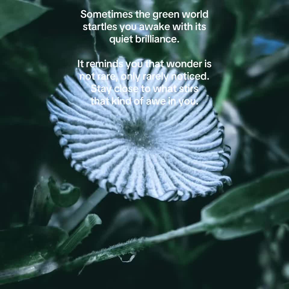 @Jasmin | A Rooted Life