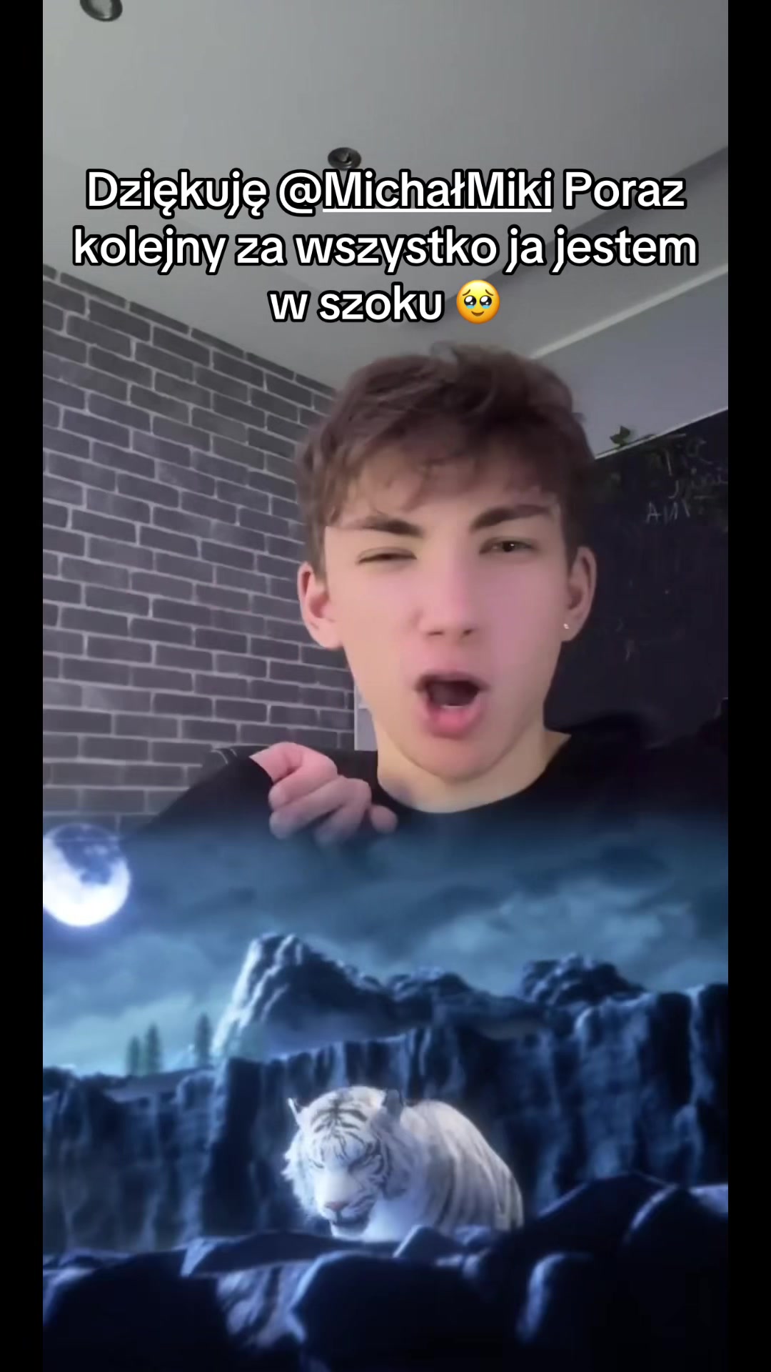 @napewnoniemaksiu