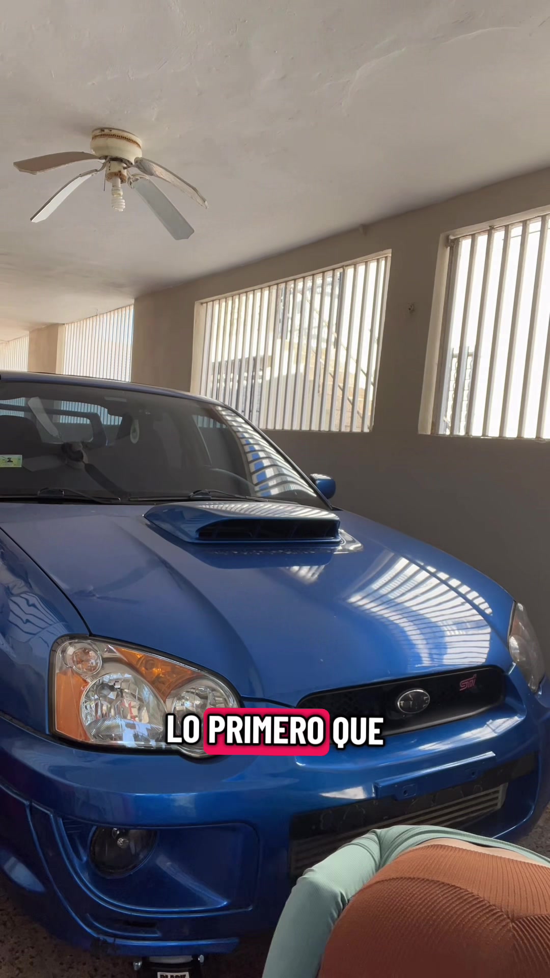 @Alejandra Bacon