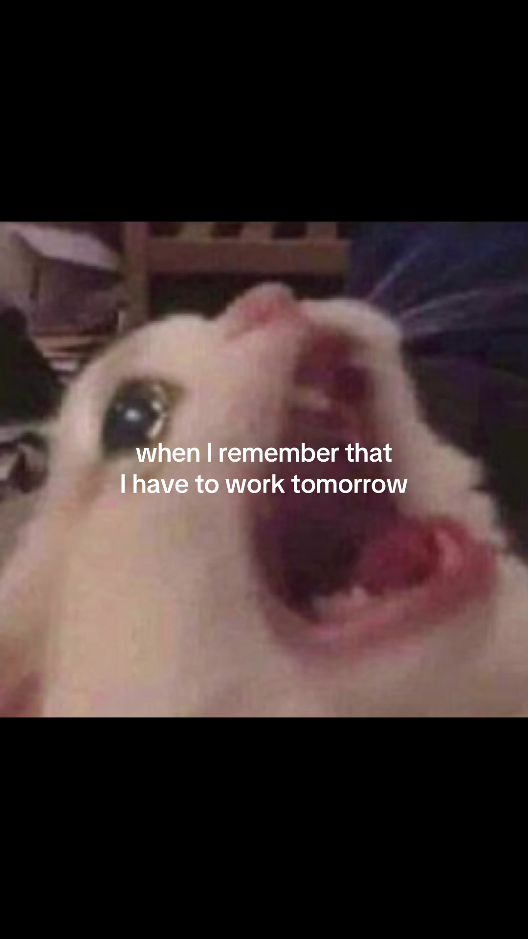 @mere