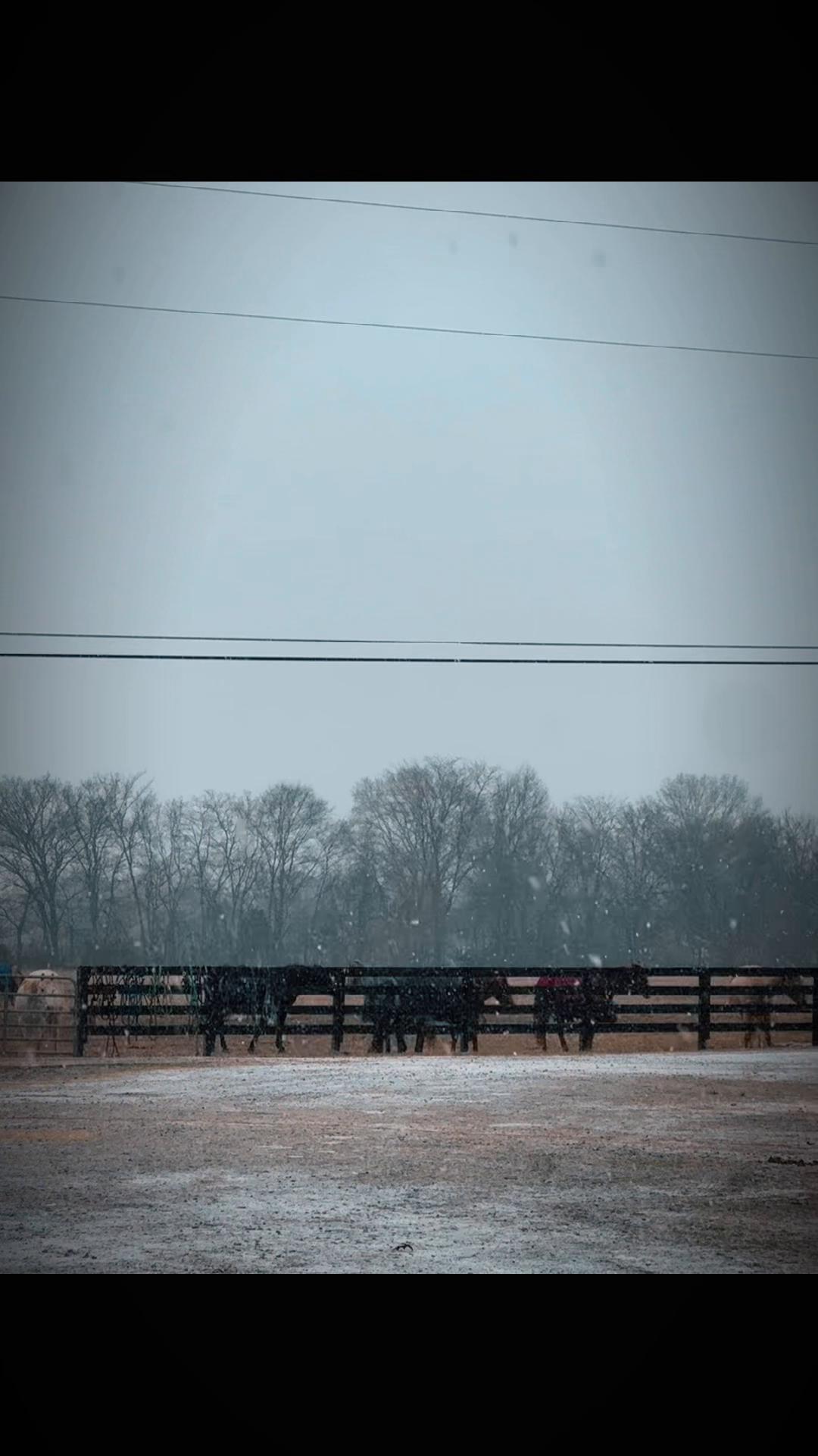 @OTTB_Lifer