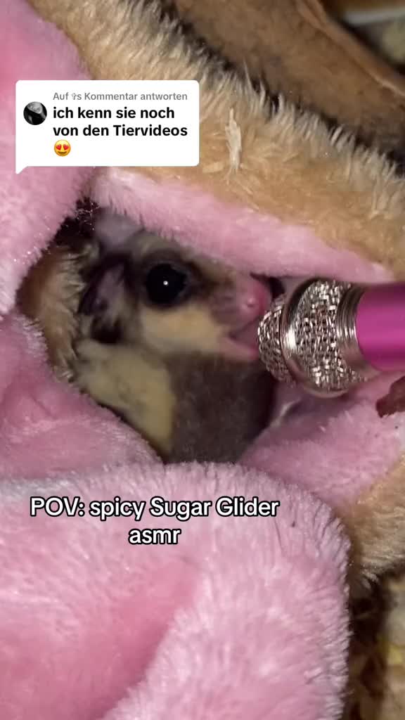 @jayde