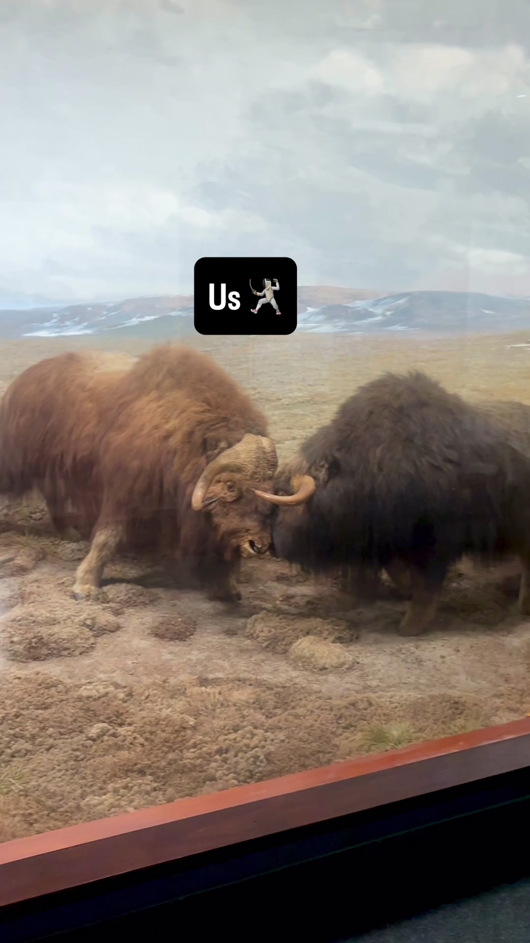 @Field Museum