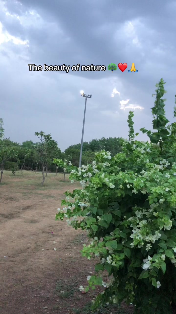 @suresh sunar 🤴🗡️