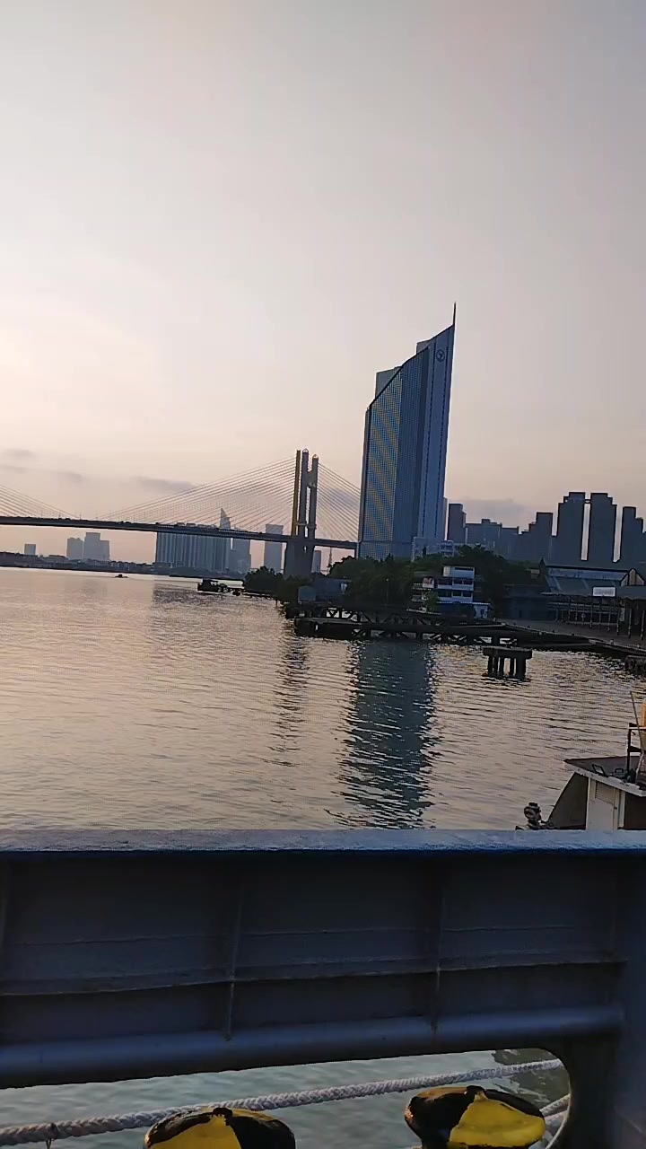 @Sea Gull
