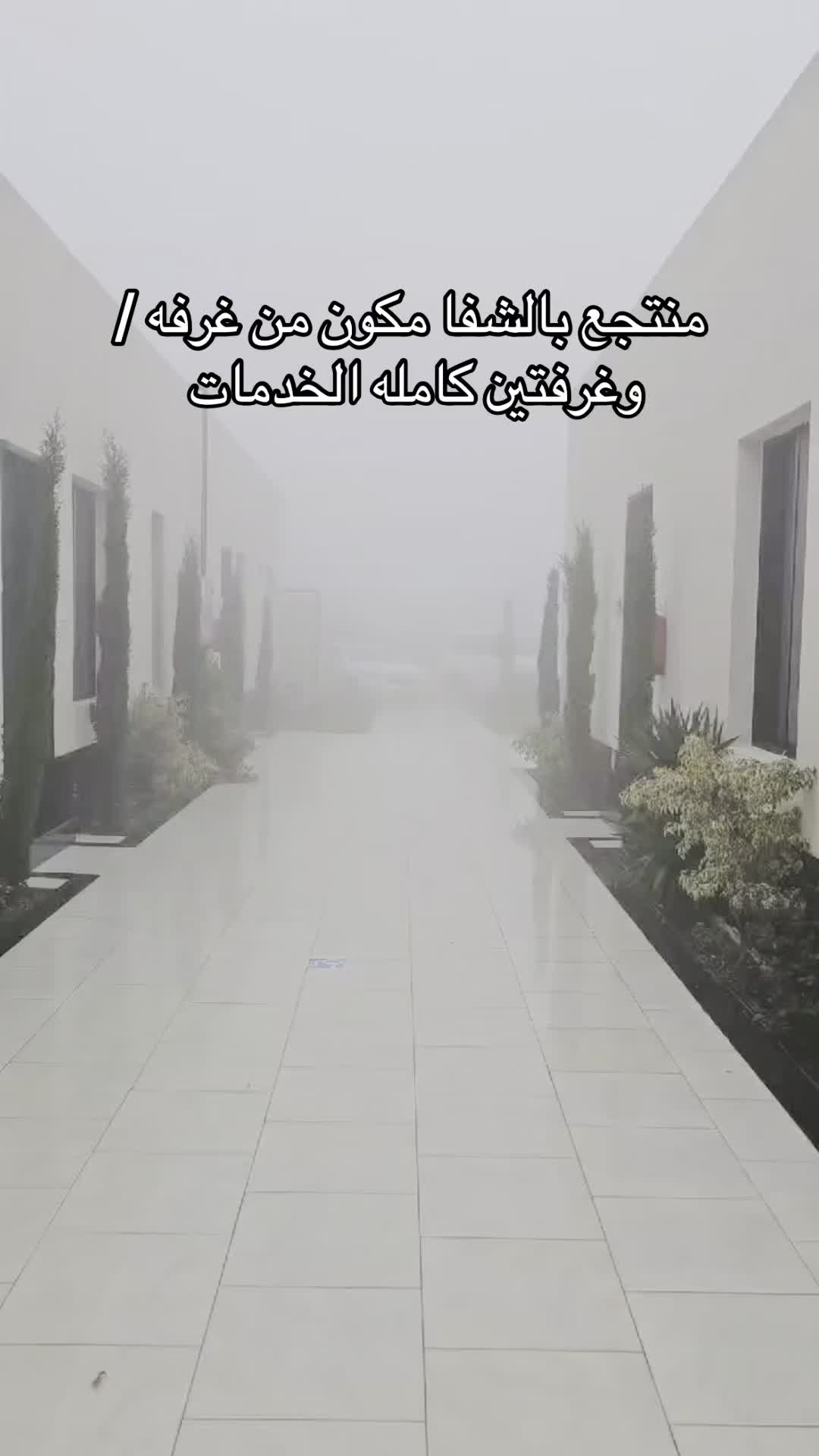 @Areej_alshafaa